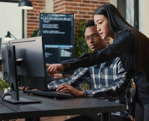 Two professionals looking at computer